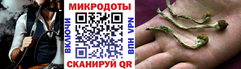 Псилоцибиновые грибы Psilocybine cubensis  Арзамас 